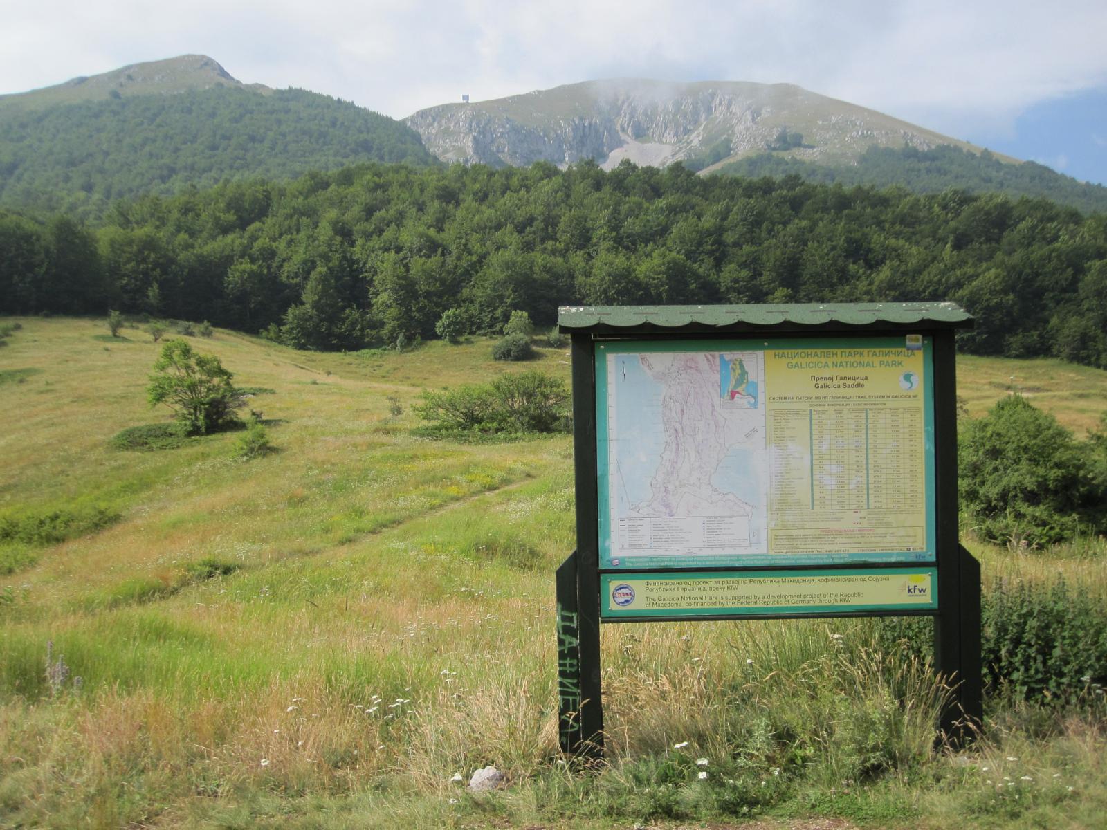 Karst meadow and wildflowers on the slopes of Galicica